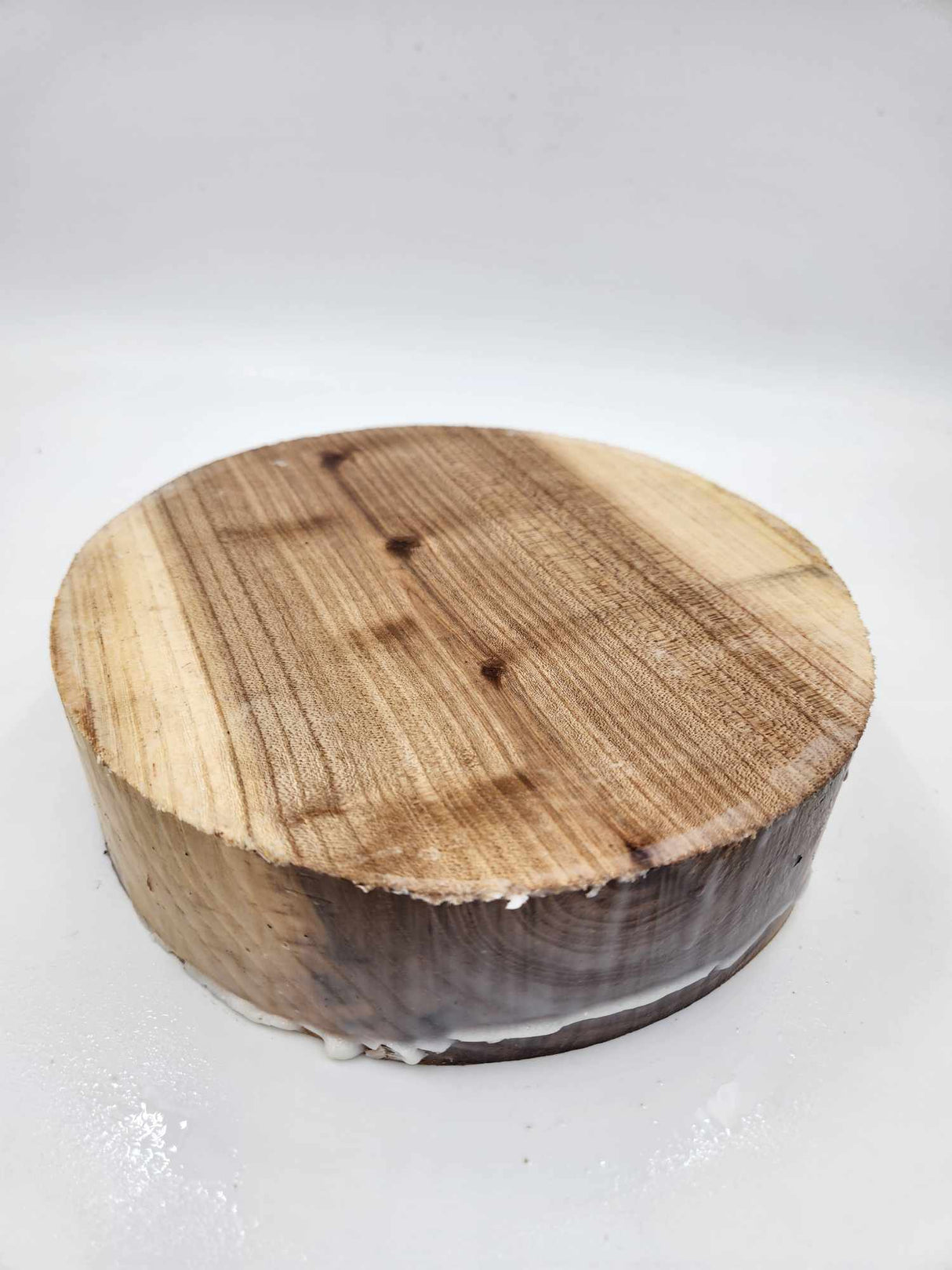 Dutch Elm Bowl Blank 220 x 60mm