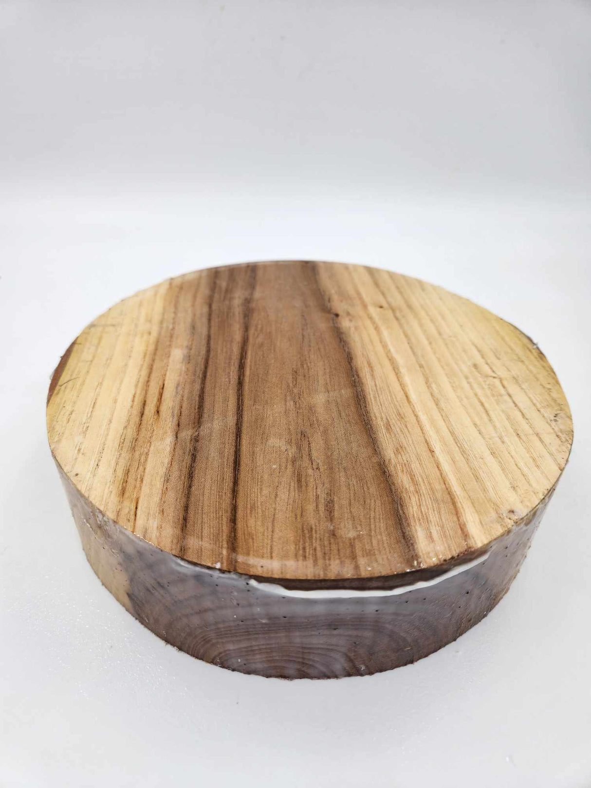 Dutch Elm Bowl Blank 220 x 60mm