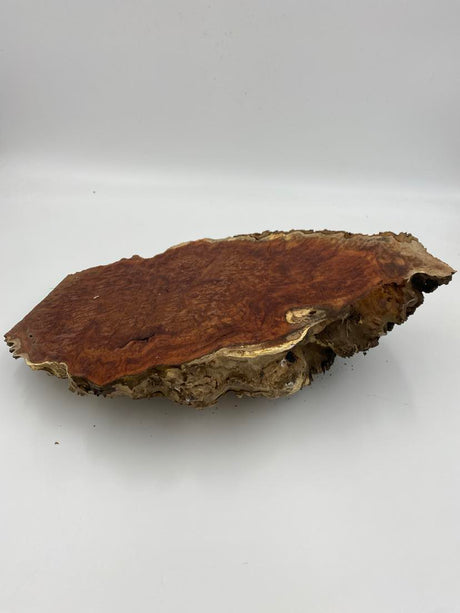 Red Mallee Burl 400 x 240 x 90mm