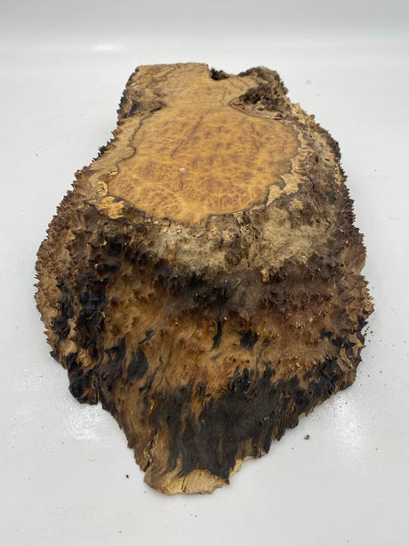 Brown Mallee Burl 400 x 200 x 70mm