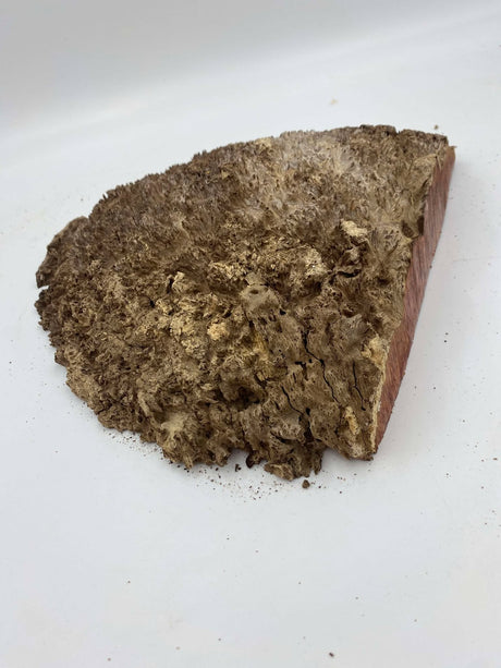 Red Mallee Burl 320 x 290 x 45mm