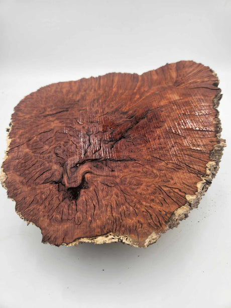 Red Mallee Burl 250mmx300mmx70mm