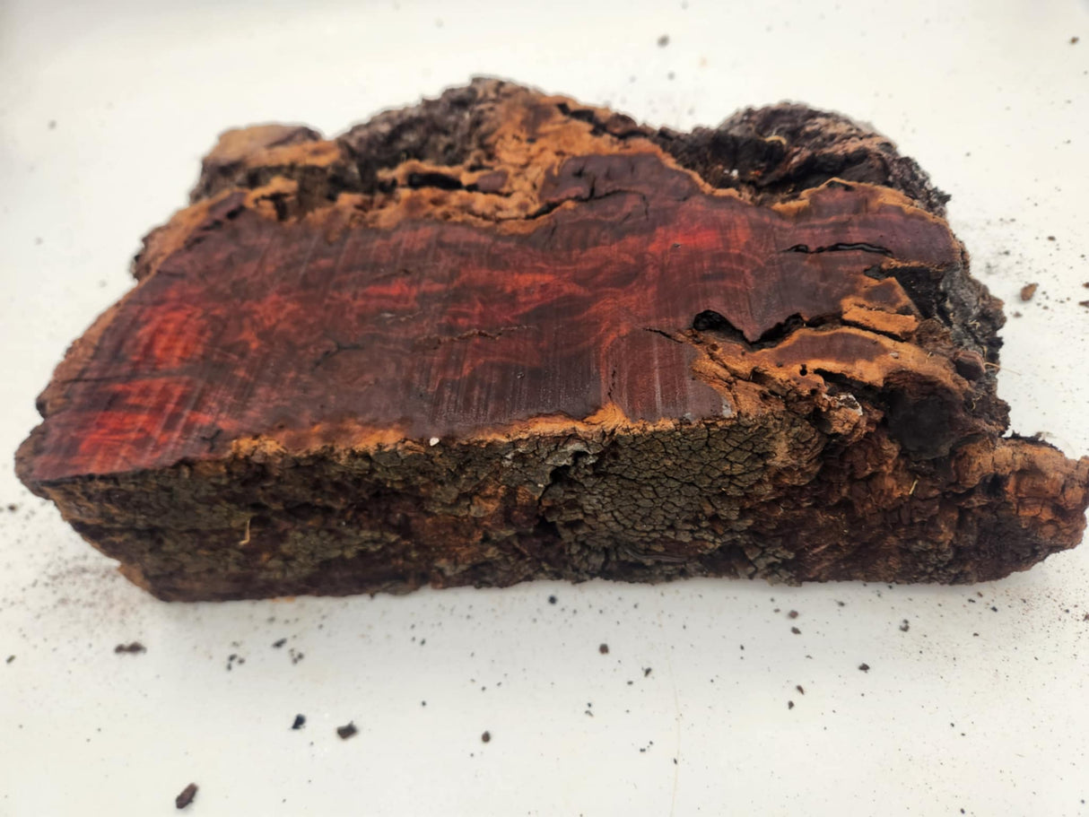 Red Gum Burl 350mmx220mmx80mm