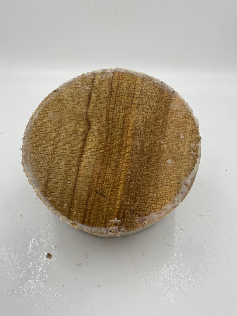 Camphor Laurel Bowl Blank 200 x 75mm (wet)