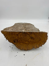 Brown Mallee Burl 320 x 220 x 150mm