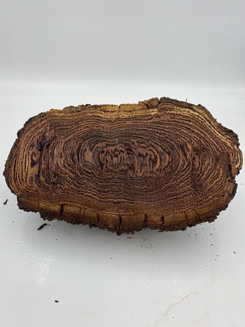 Messmate  Burl 320 x 170 x  90mm