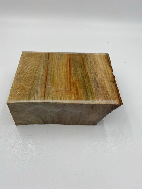Camphor Laurel Bowl Blank  160 x 150 x 60mm (wet)