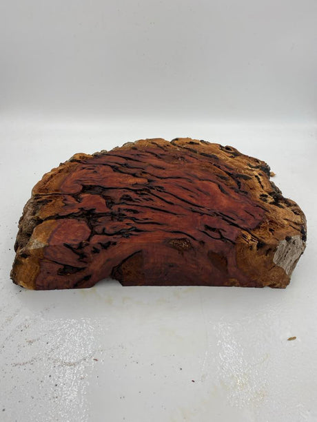 Red Gum Burl 370 x 280 x 90mm