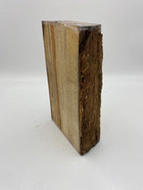 Camphor Laurel Spindle 250 x 150 x 70mm (wet)
