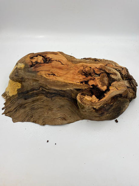 Red Gum Burl 430 x 280 x 60mm
