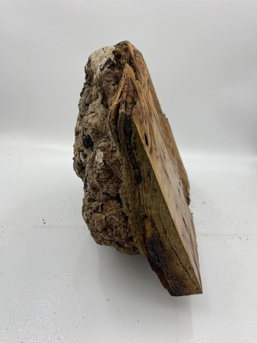 Messmate Burl 380 x 290 x 160mm