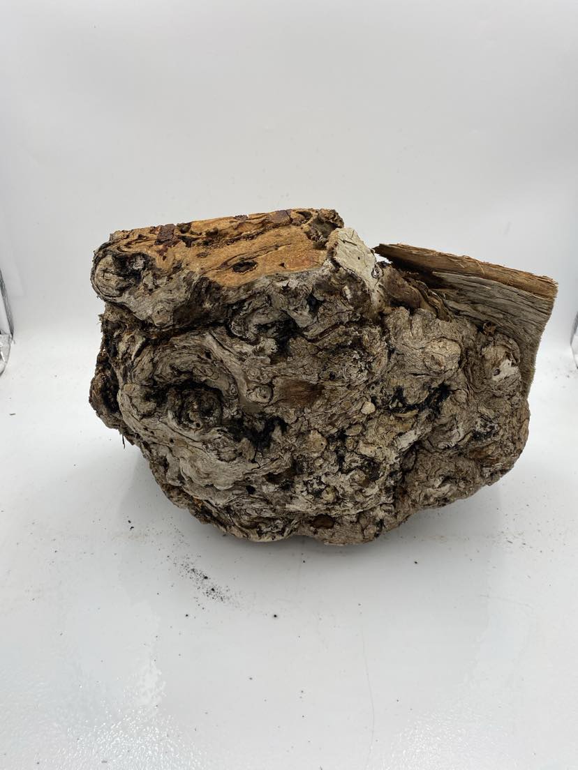 Messmate Burl 380 x 290 x 160mm