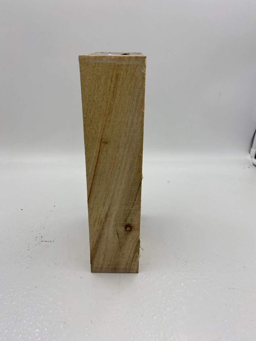 Camphor Laurel Spindle 280 x 160 x 70mm (wet)