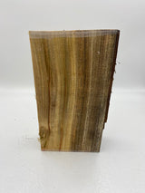 Camphor Laurel Spindle 280 x 160 x 70mm (wet)
