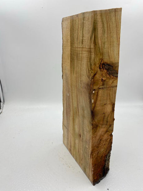 Camphor Laurel Spindle 420 x 170 x 70mm