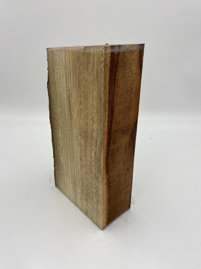 Camphor Laurel Spindle 250 x 150 x 70mm (wet)