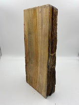 Camphor Laurel Spindle 420 x 170 x 70mm