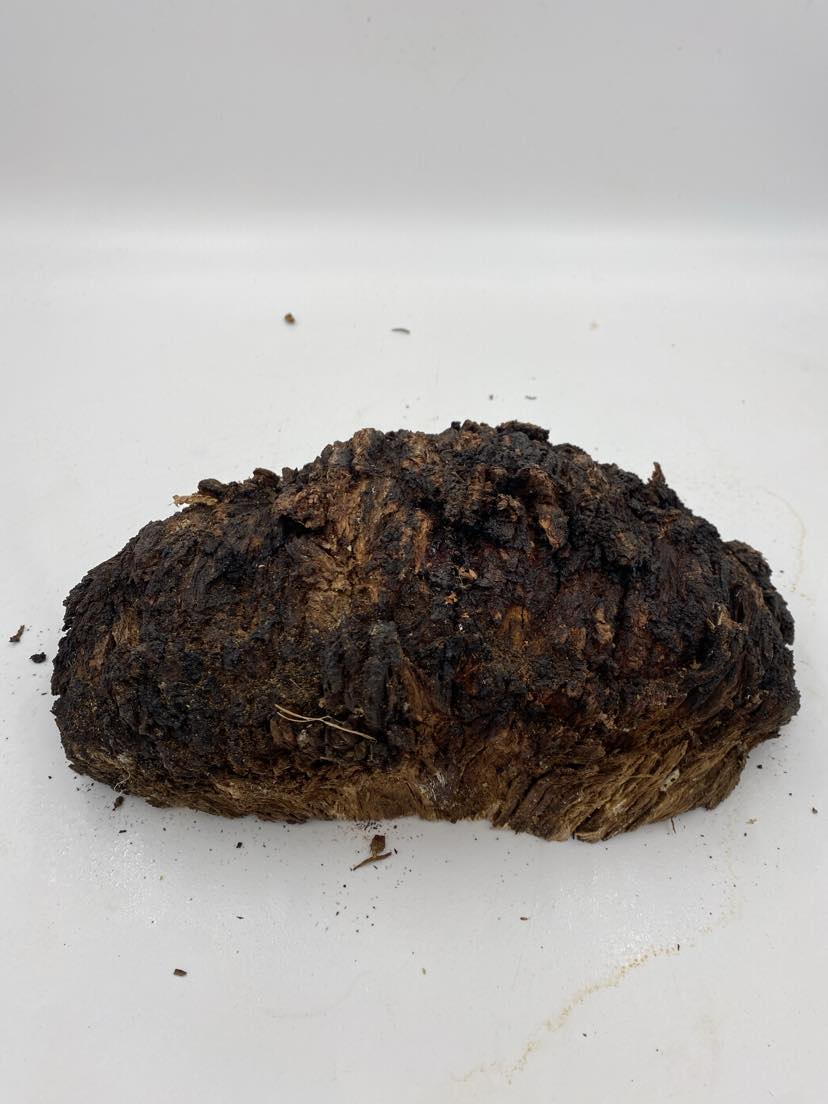 Messmate  Burl 320 x 170 x  90mm