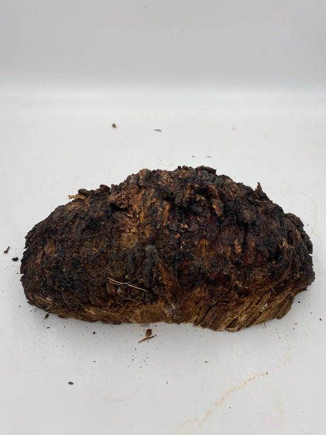Messmate  Burl 320 x 170 x  90mm