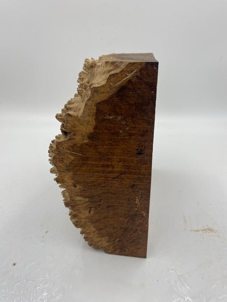 Coolabah Burl 220 x 215 x 100mm
