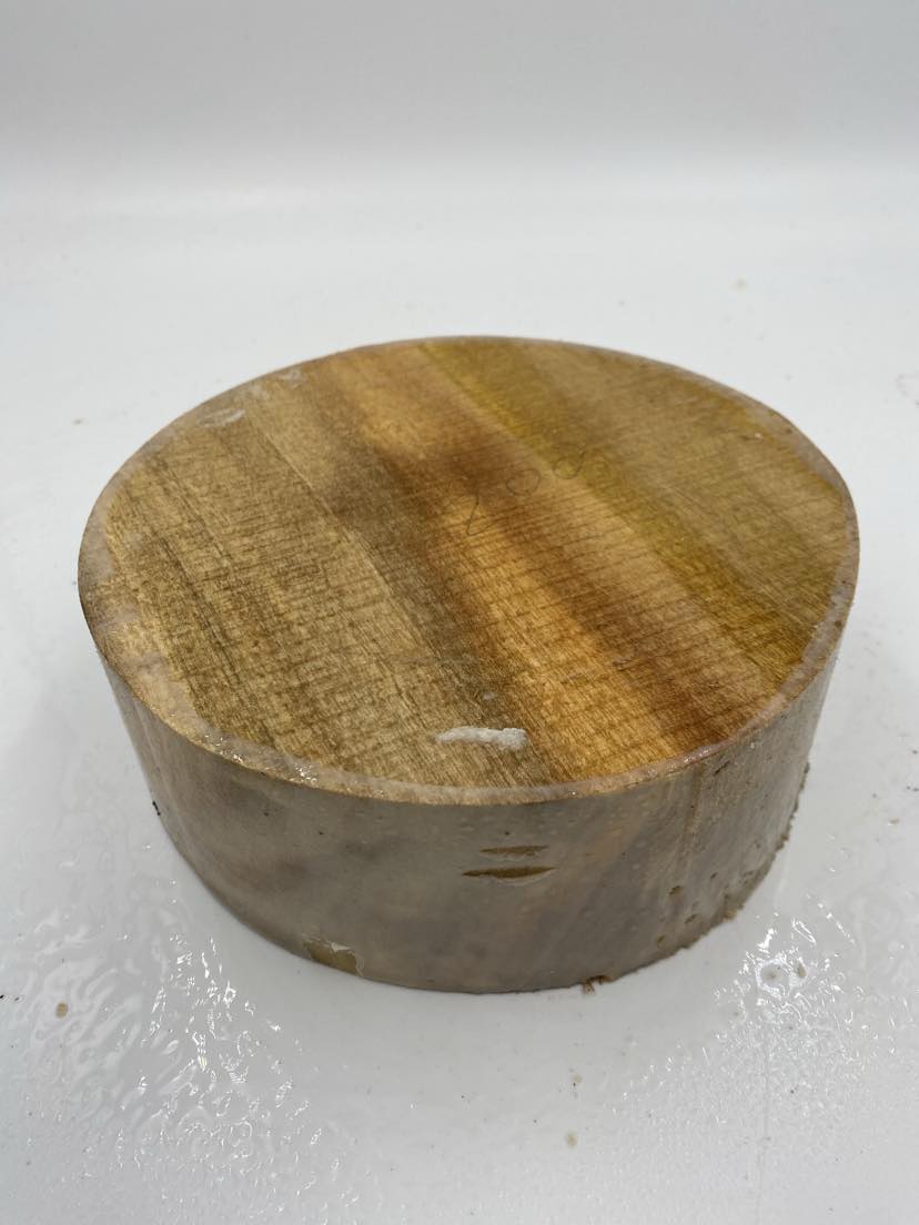 Camphor Laurel Bowl Blank 200 x 75mm (wet)