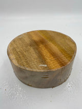 Camphor Laurel Bowl Blank 200 x 75mm (wet)