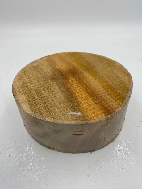 Camphor Laurel Bowl Blank 200 x 70mm