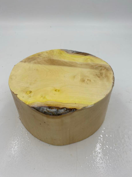Phantom Maple Bowl Blank with Burling 150 x 65mm