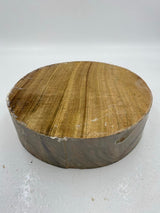 Camphor Laurel Bowl Blank 260 x 90mm (wet)