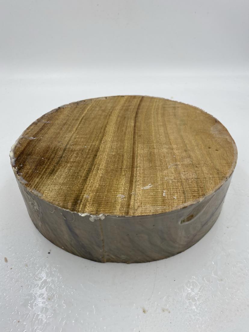 Camphor Laurel Bowl Blank 250 x 85mm (wet)