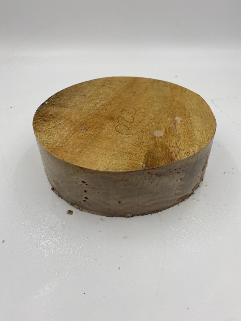 Camphor Laurel Bowl Blank 220 x 70mm (wet)