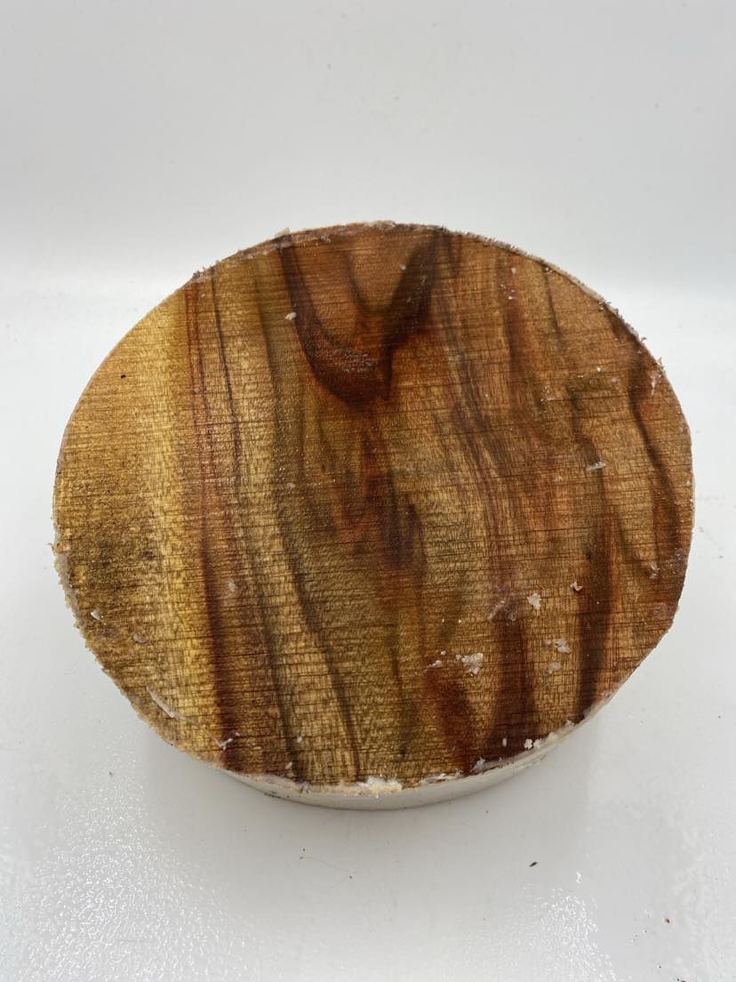 Camphor Laurel Bowl Blank 220 x 70mm (wet)