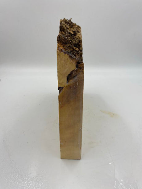 Phantom Maple Burl 240 x 290 x 40mm