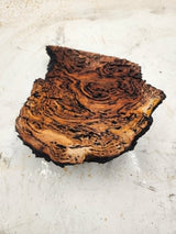 Forest Red Gum Burl 150x150x45mm