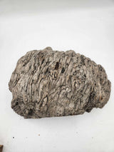 Black Butt Burl 400mmx280mmx120mm