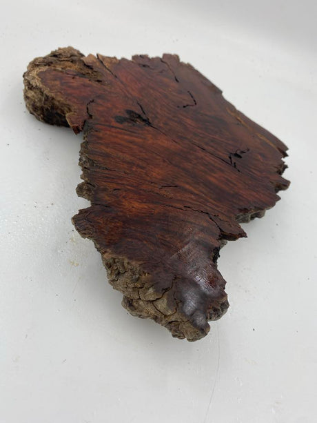 Red Gum Burl 250 x 180 x 40mm