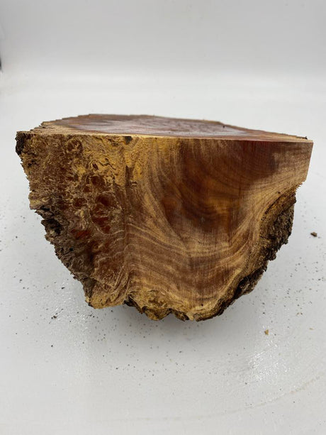 Red Mallee Burl 350 x 220 x 100mm