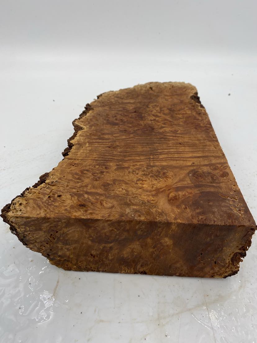 Tasmanian Myrtle Burl 300 x 160 x 40mm