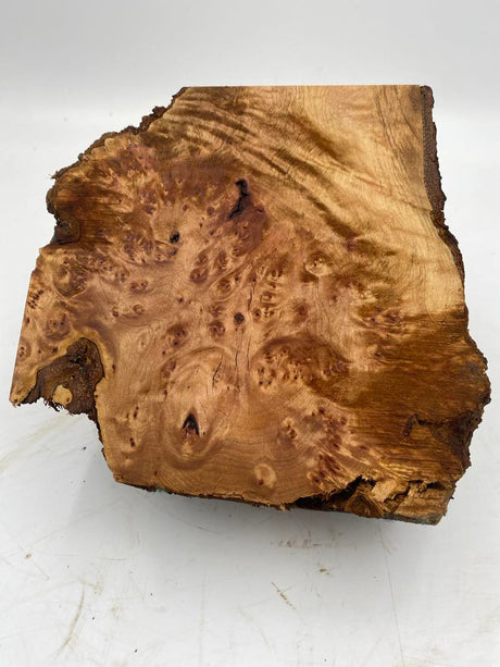 Myrtle Burl with Birdseye 190 x 180 x 50mm