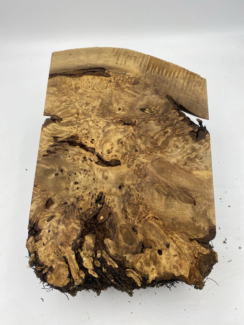 Blackheart Sassafras Burl with Birdseye 380 x 260 x 70mm
