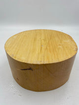 Huon Pine Bowl Blank 220 x 105mm