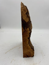 Tasmanian Myrtle Burl 300 x 160 x 40mm