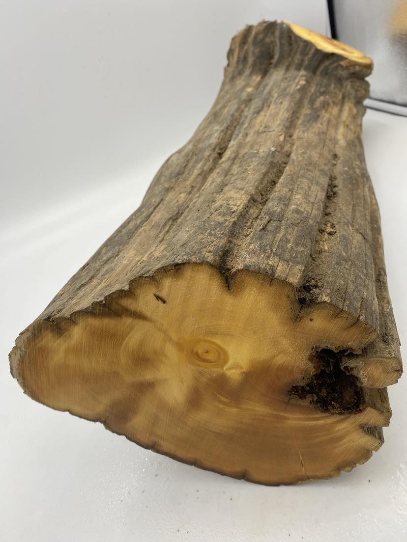 Huon Pine Log 590 x 240 x 190mm
