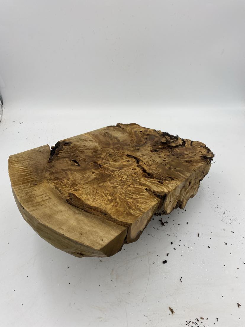 Blackheart Sassafras Burl with Birdseye 380 x 260 x 70mm