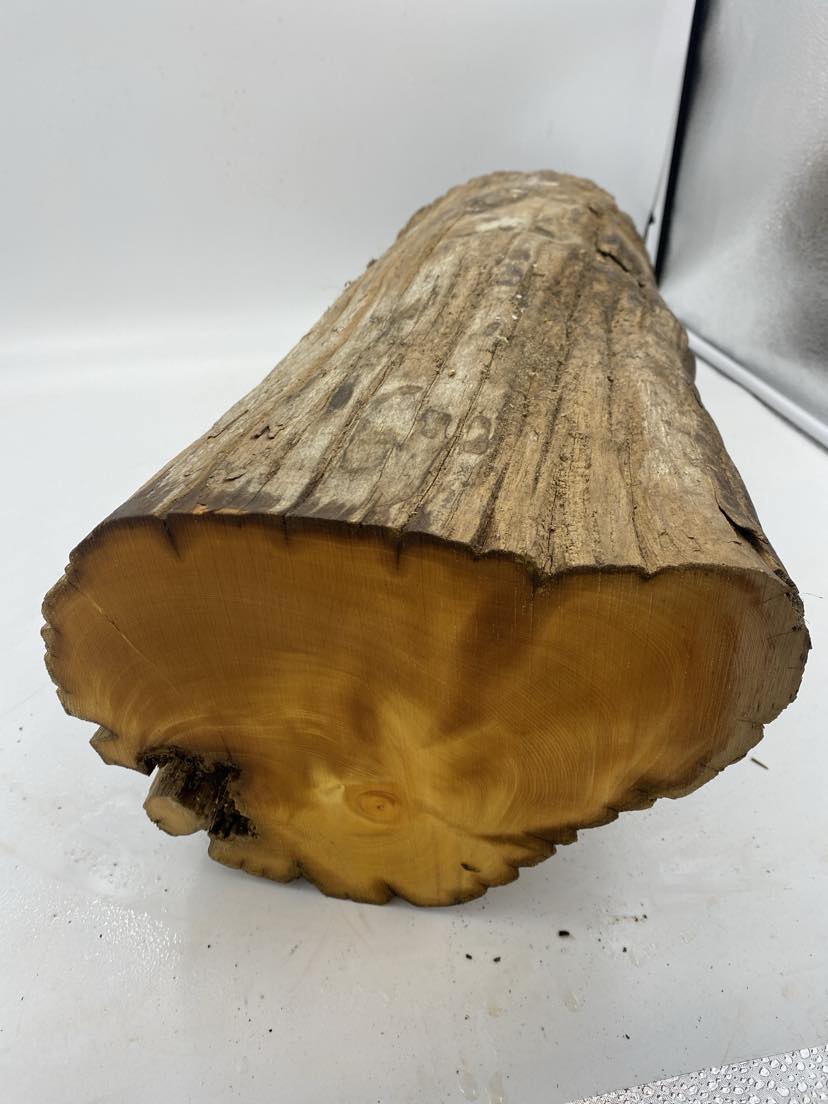 Huon Pine Log 590 x 240 x 190mm