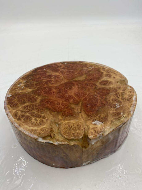 Red Mallee Burl Bowl Blank 190 x 50mm