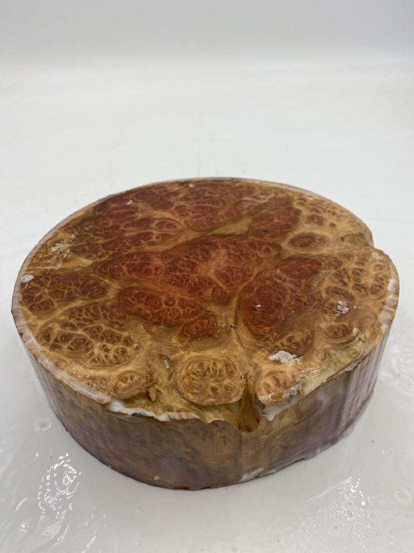 Red Mallee Burl Bowl Blank 190 x 50mm