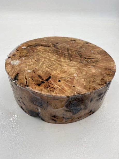 Red Gum Burl Bowl Blank 200 x 70mm