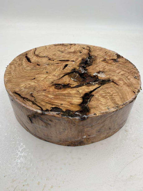 Red Gum Burl Bowl Blank 260 x 70mm
