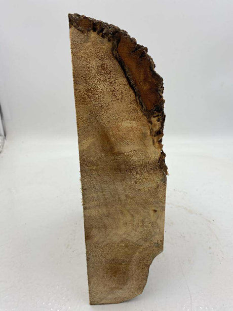 Poplar Burl Bowl Blank 300 x 190 x 70mm